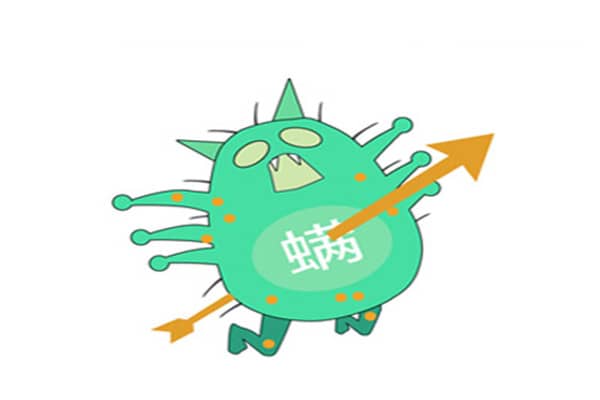 殺菌除螨 殺菌除螨