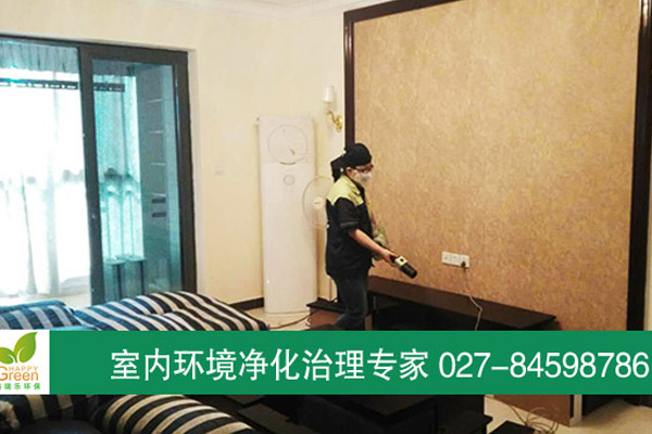 江夏怡景江南業(yè)主新房除甲醛 江夏怡景江南業(yè)主新房除甲醛