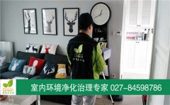 武漢漢陽(yáng)區(qū)海倫春天室內(nèi)空氣檢測(cè)