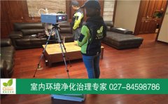 武漢洪山區(qū)聯(lián)投花山郡香頌室內(nèi)空氣檢測(cè)
