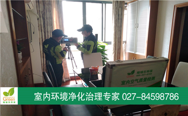 萬科甲醛治理 武漢除甲醛 武漢甲醛檢測