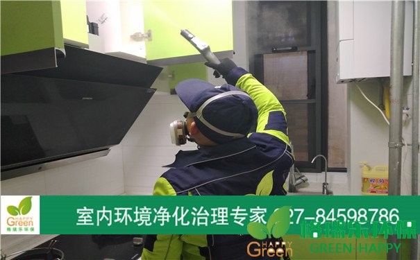 甲醛治理，甲醛污染，格瑞樂，武漢除甲醛，江岸區(qū)地鐵鑫城