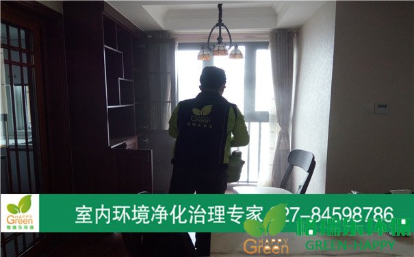 甲醛治理，甲醛污染，格瑞樂，武漢除甲醛，漢陽綠地中央廣場