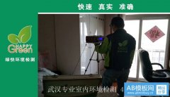 武漢市洪山區(qū)桂子花園甲醛檢測