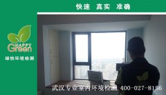 武漢藍(lán)光林肯公園新房甲醛檢測(cè)