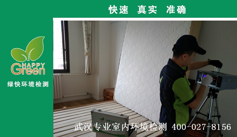 美聯(lián)聯(lián)邦生活區(qū)，甲醛治理，甲醛污染，格瑞樂，武漢除甲醛，甲醛檢測，綠快