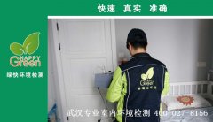 武漢市江夏區(qū)儷湖天地新房甲醛檢測(cè)
