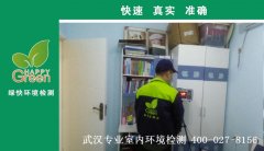 武漢市洪山區(qū)楊春湖畔新房甲醛檢測 武漢市洪山區(qū)楊春湖畔新房甲醛檢測