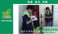 白沙洲南國都市業(yè)主新房甲醛檢測