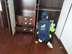 武漢培訓(xùn)學(xué)校除醛，獨(dú)特策略大公開