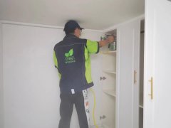 驚爆！武漢新房柚子皮除醛大揭秘