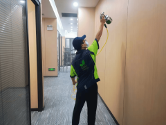 武漢新房主速戰(zhàn)！甲醛“圍剿”全攻略