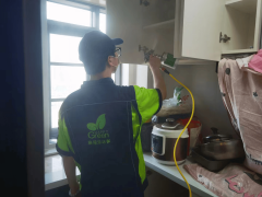 武漢新屋主看過(guò)來(lái)！除醛妙招大公開(kāi)