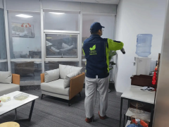 武漢新房除醛避坑！四招穩(wěn)拿捏