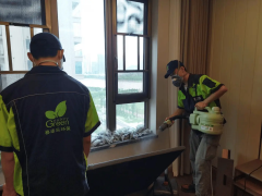 武漢新手除甲醛！格瑞樂(lè)教你輕松入行