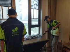 武漢新房除醛選公司，格瑞樂靠譜不踩雷！