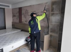 武漢新房主警惕！除醛踩坑實錄與破局法