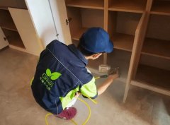 武漢新房除醛！6招實測效果大公開