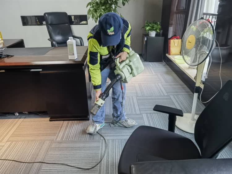 武漢除甲醛：4種常見招兒靠譜嗎？